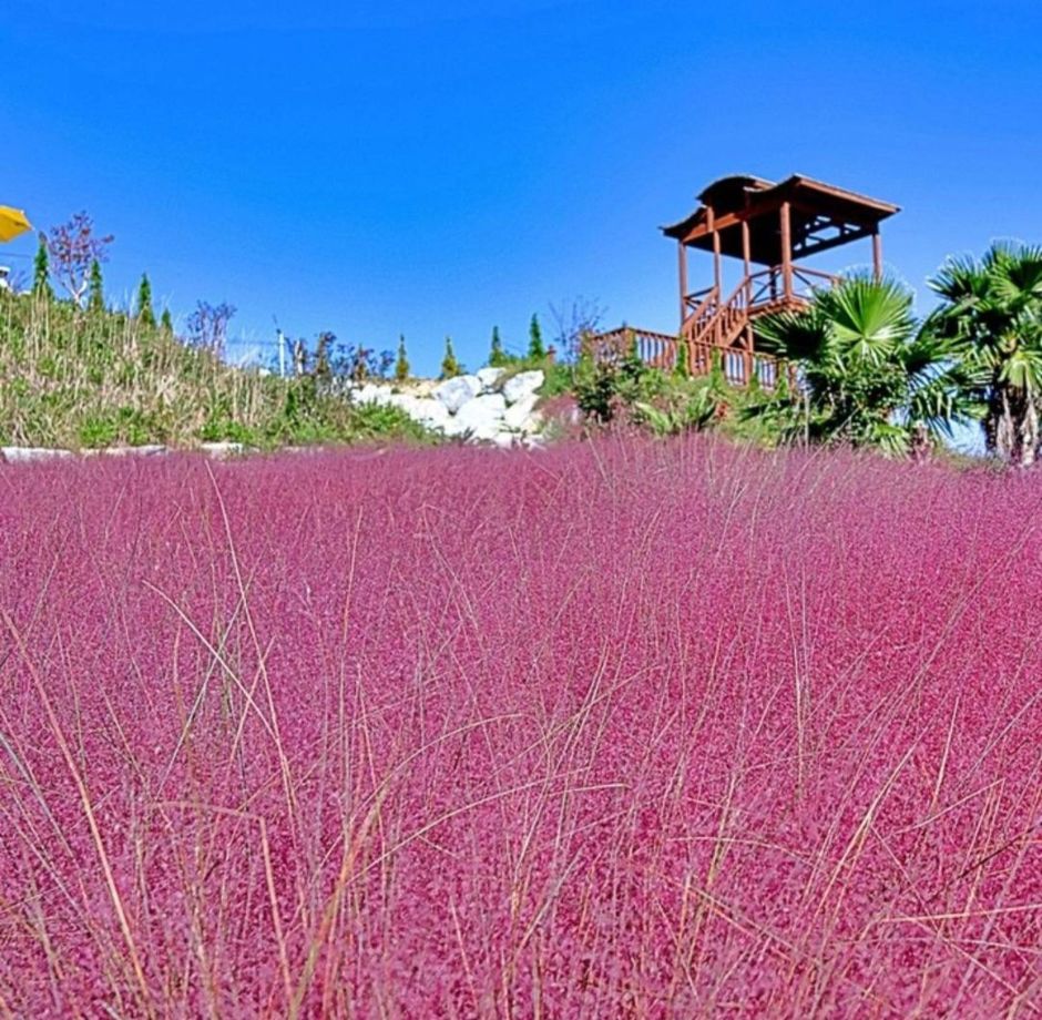 호린파크 이미지 9