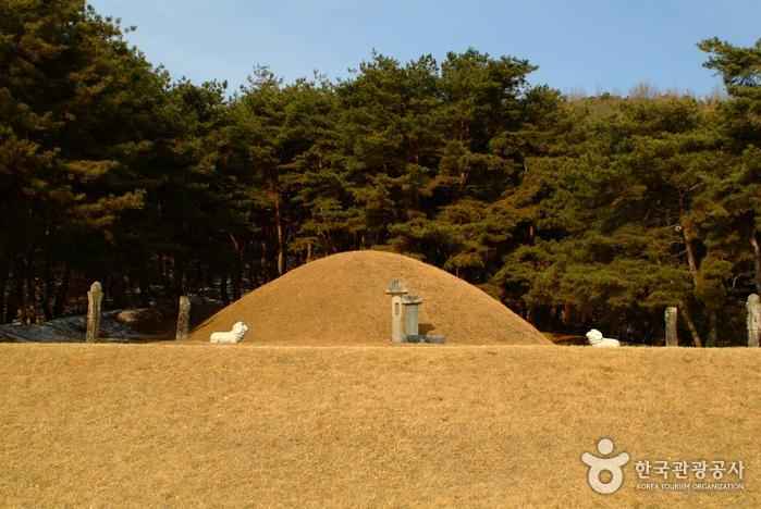 전사벌왕릉 이미지 2