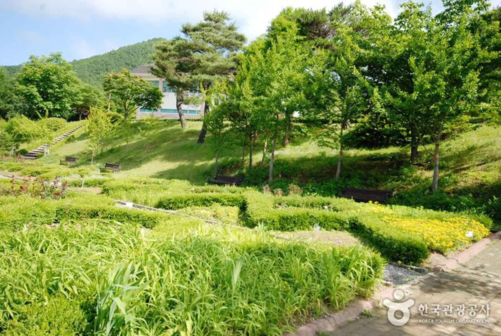 경상북도수목원 이미지 6