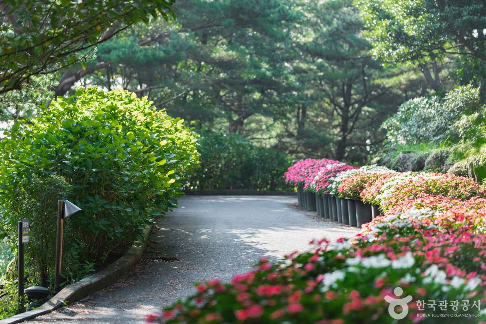 상효원수목원/상효원 이미지 6