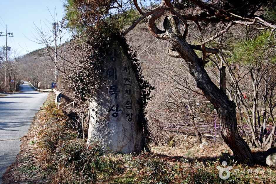 정읍 양떼목장 임실치즈마을 이미지 2