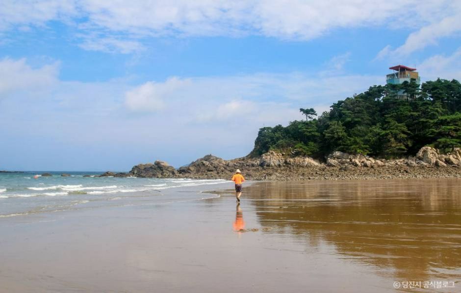 난지섬해수욕장 이미지 6