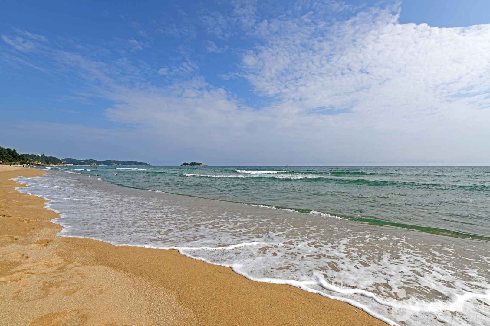 잔교리해변 이미지 1