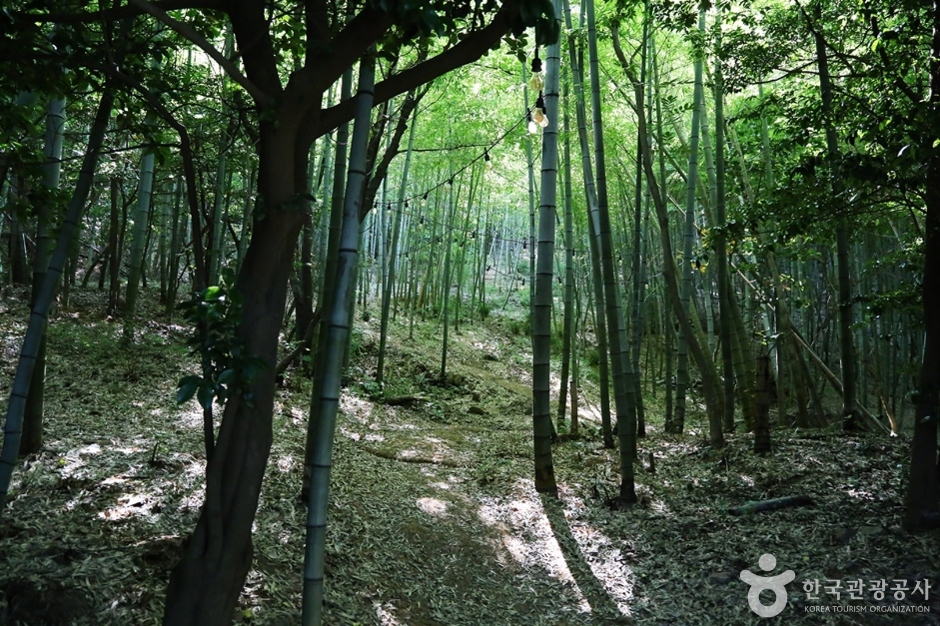 상상산책길 이미지 5