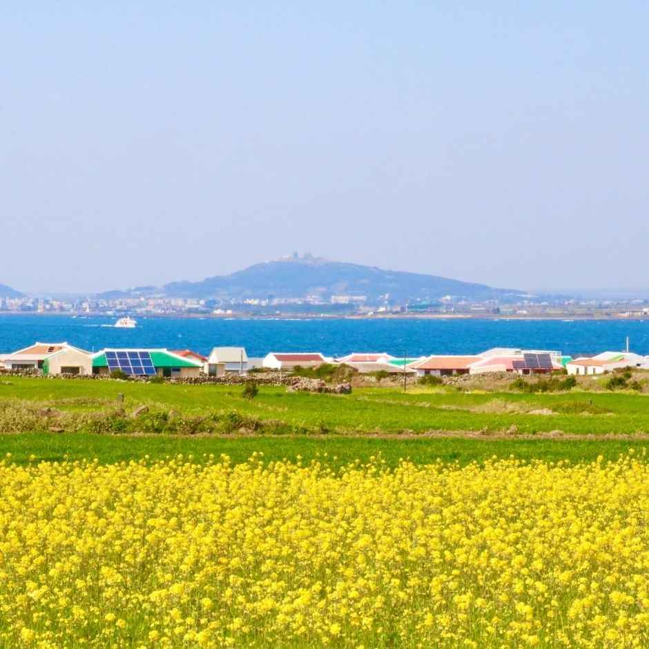 가파도 소망전망대 이미지 1