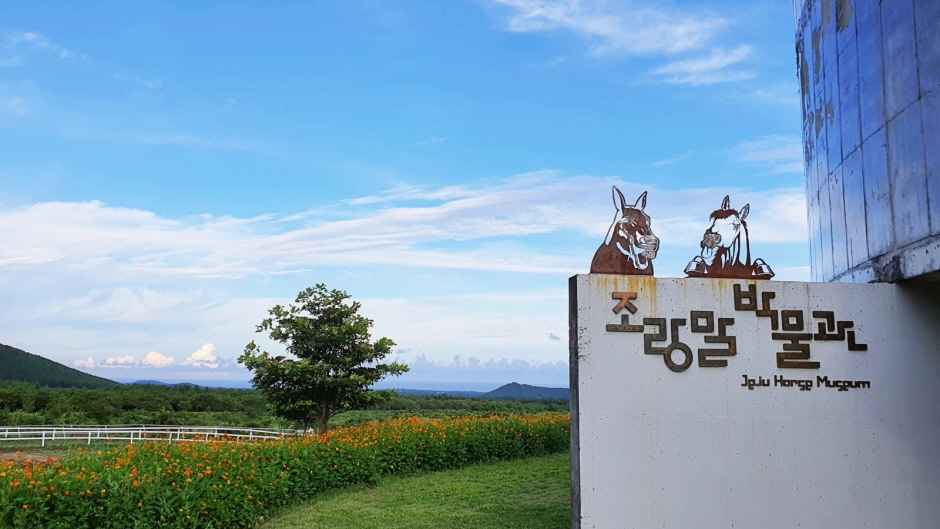 조랑말체험공원 이미지 7