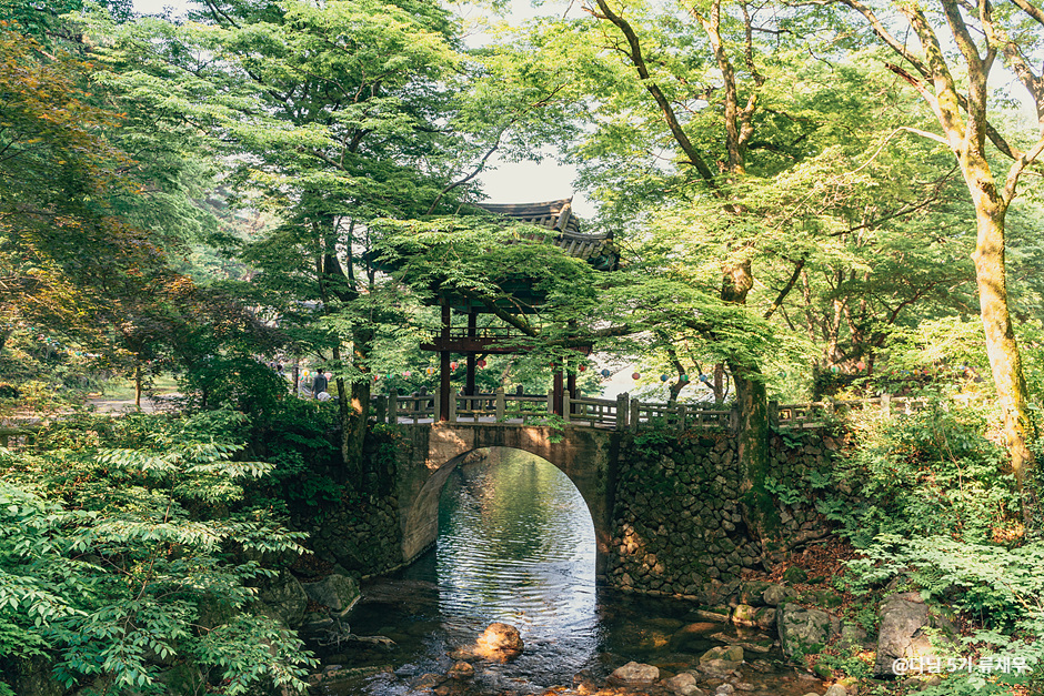 천은사(구례) 이미지 1