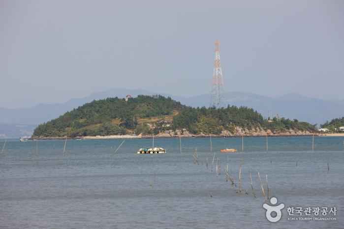 진지도 이미지 1