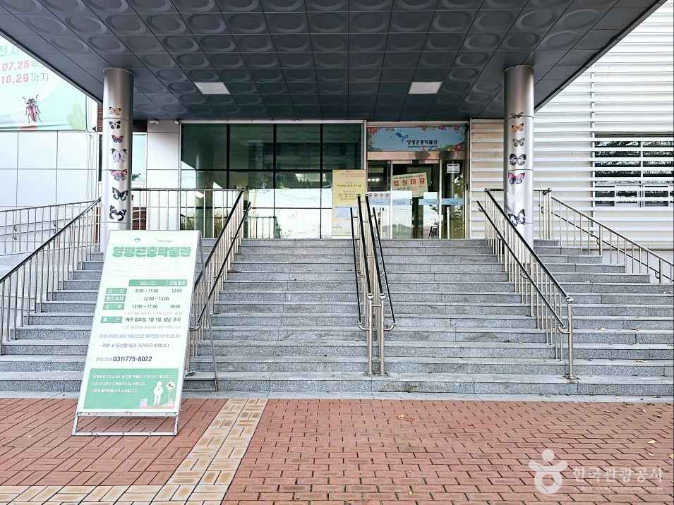 양평곤충박물관 이미지 6