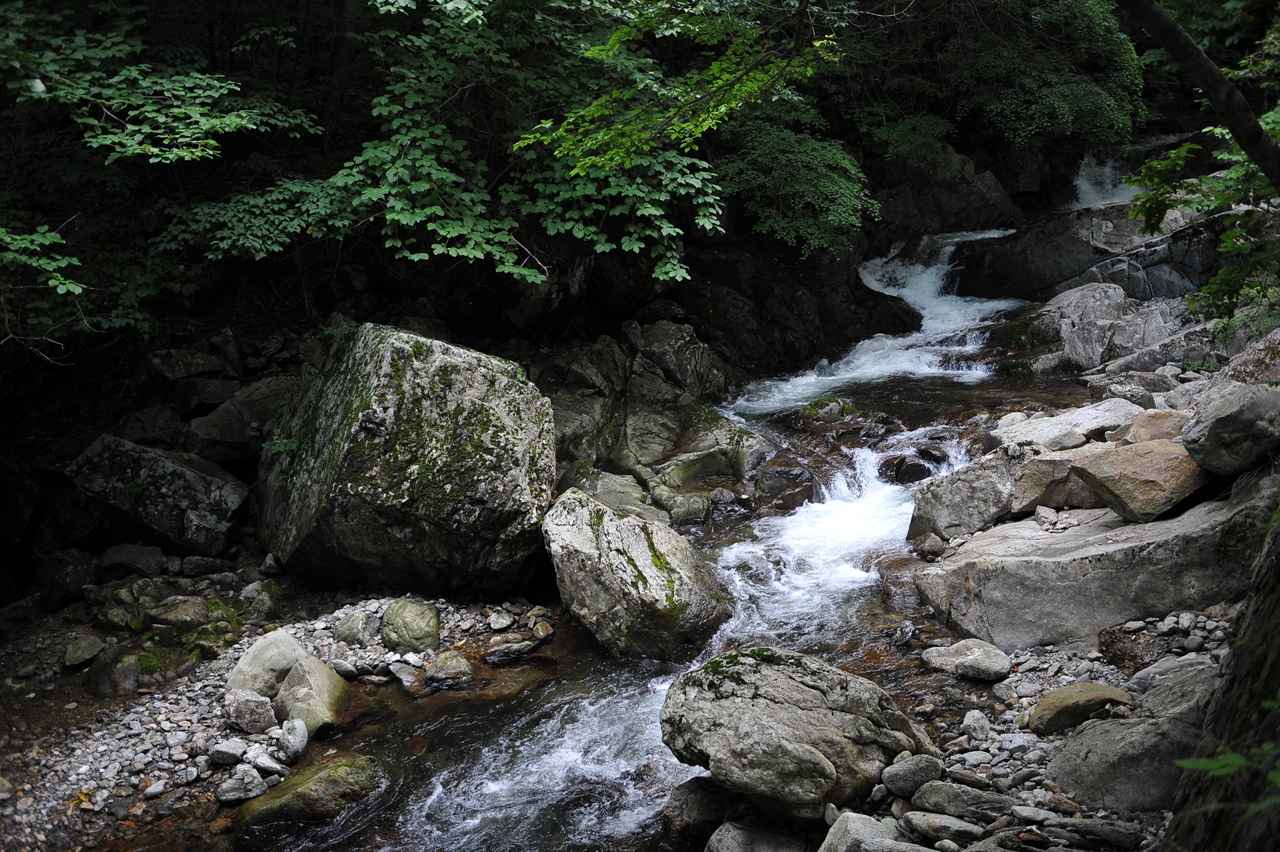 구천동계곡 이미지 1