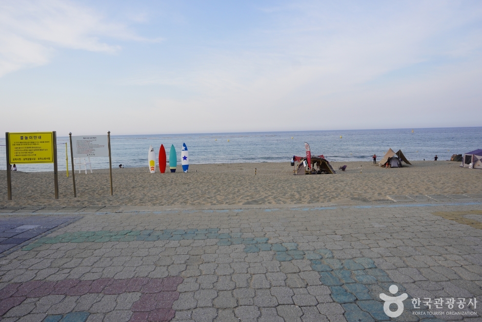 맹방해변 이미지 8
