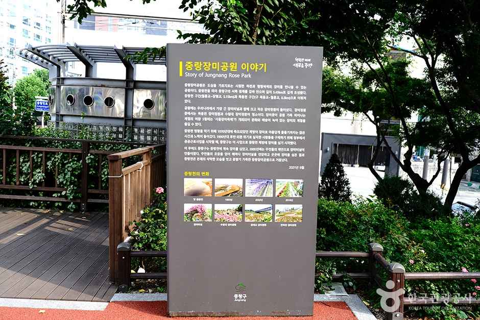 중랑장미공원 이미지 4