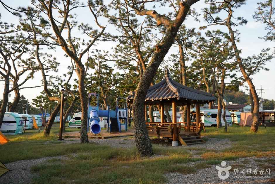 오류고아라해변 이미지 5