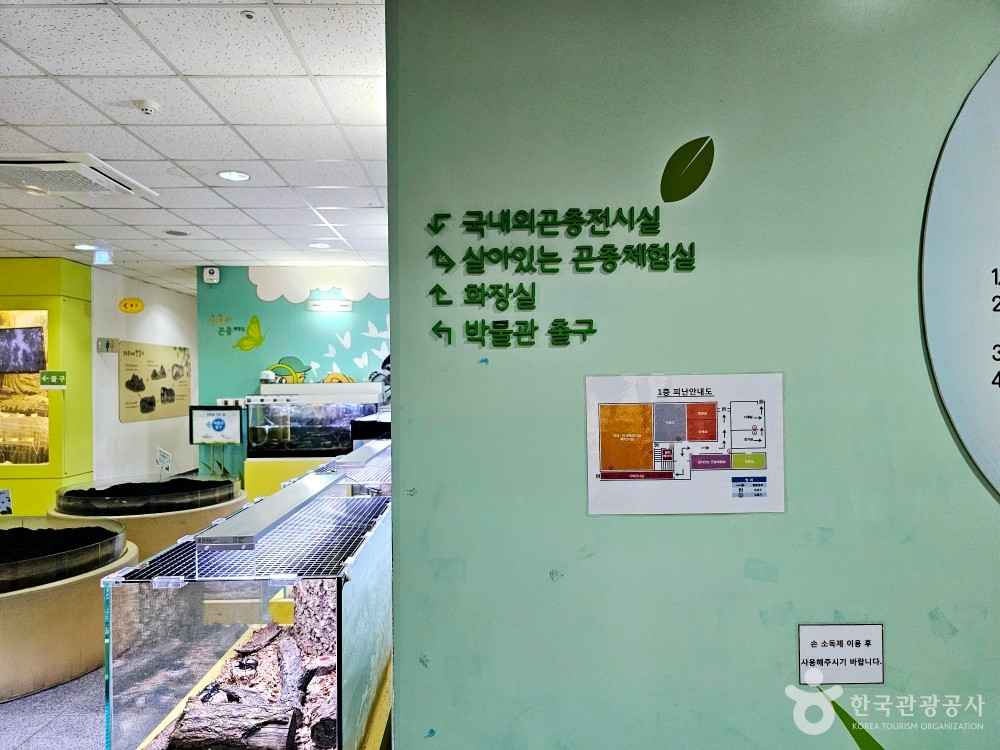 양평곤충박물관 이미지 4