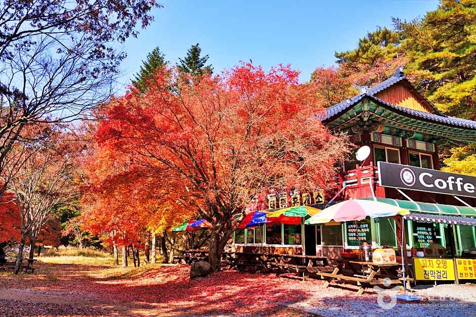 속리산세조길 이미지 7