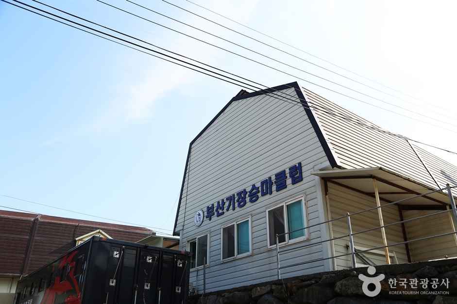 부산기장승마장 이미지 1