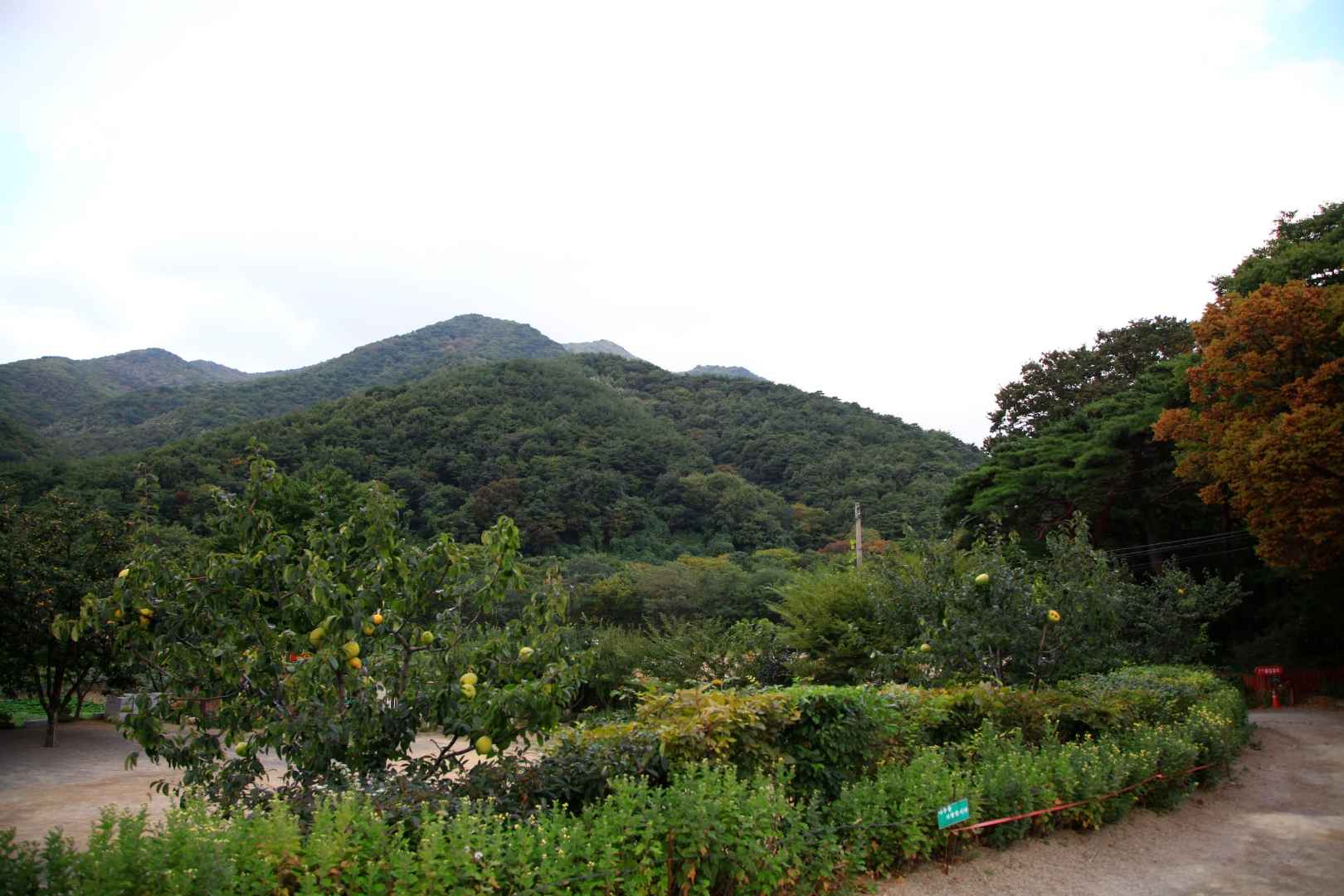 내연산보경사시립공원 이미지 3