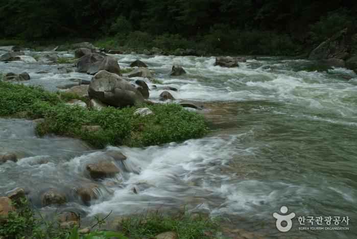 석천계곡 이미지 3