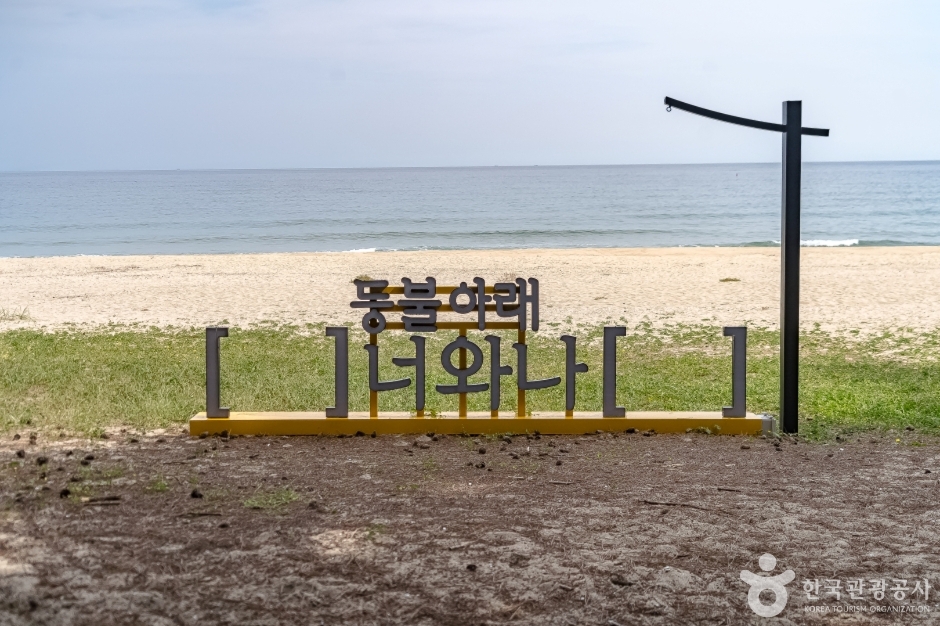 등명해변(등명해수욕장) 이미지 6