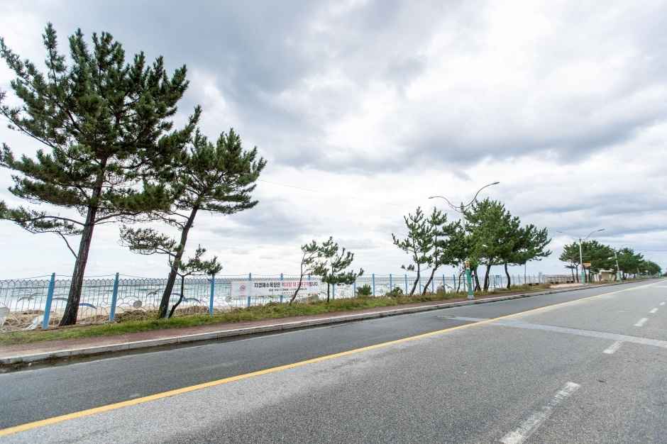 지경리해변 이미지 7