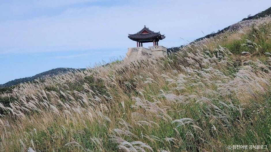 황매산 억새군락지 이미지 4