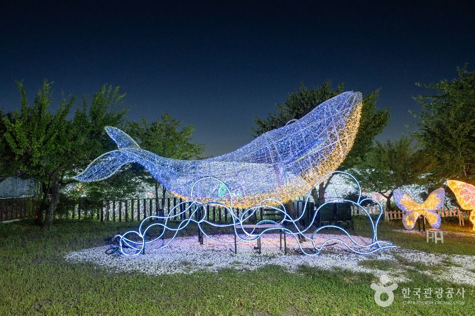 제주불빛정원 이미지 3