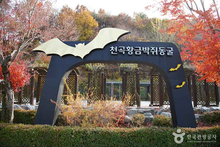천곡천연동굴 자연학습체험공원 이미지 3
