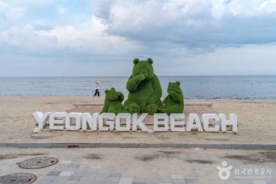연곡해변(연곡해수욕장) 이미지 1