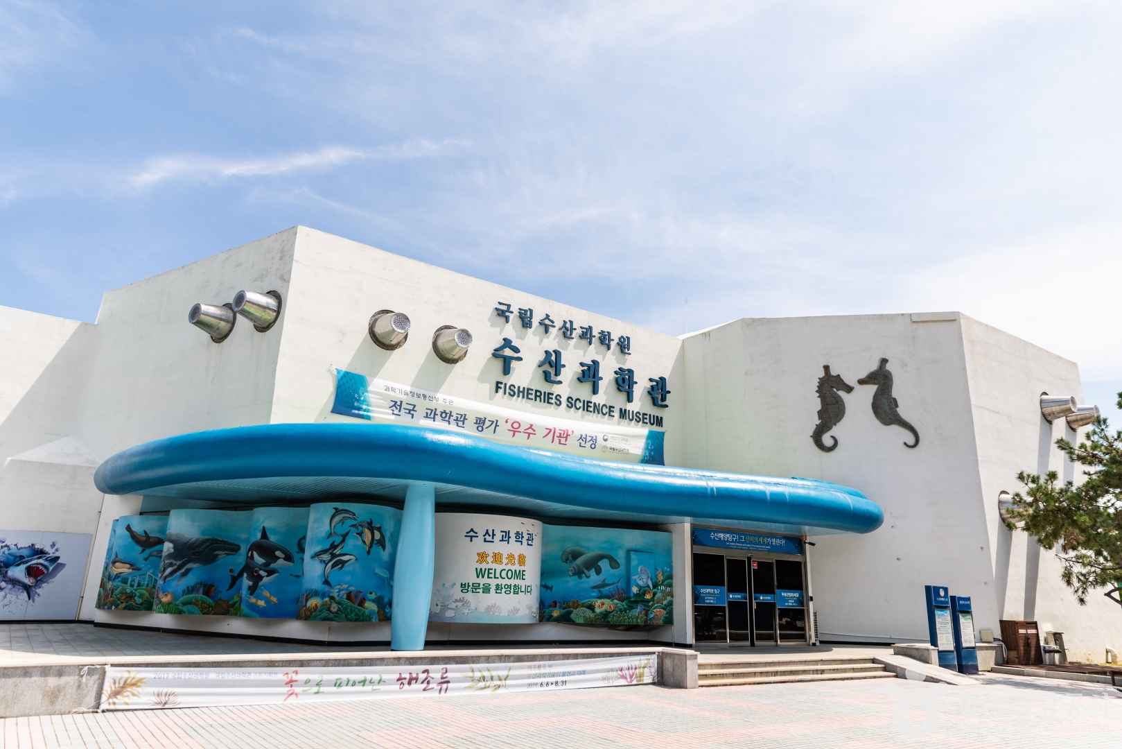 수산과학관(부산) 이미지 2