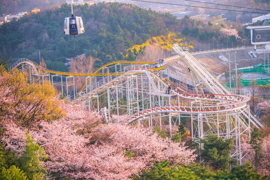 이월드 이미지 6