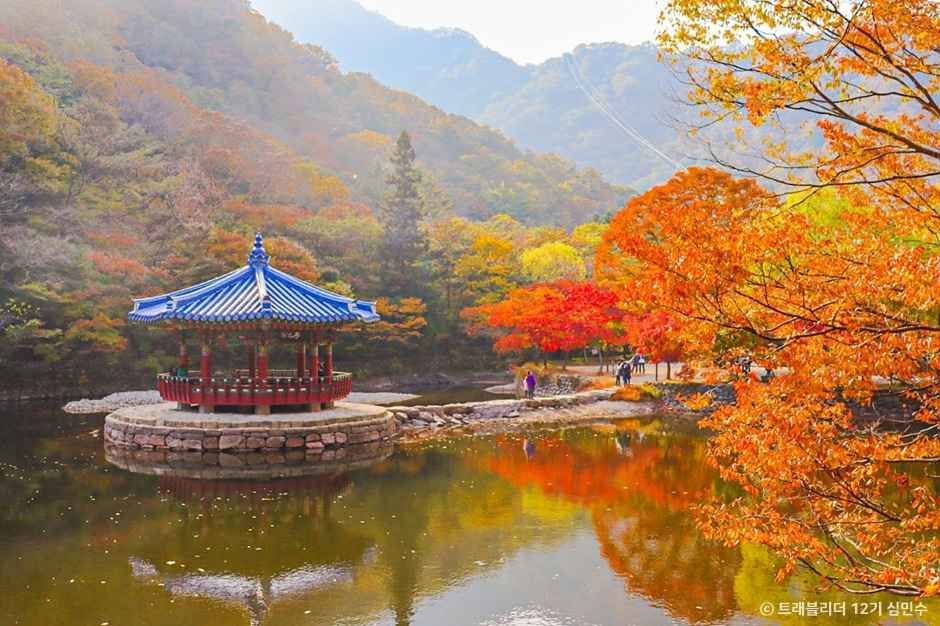 내장산국립공원 이미지 6