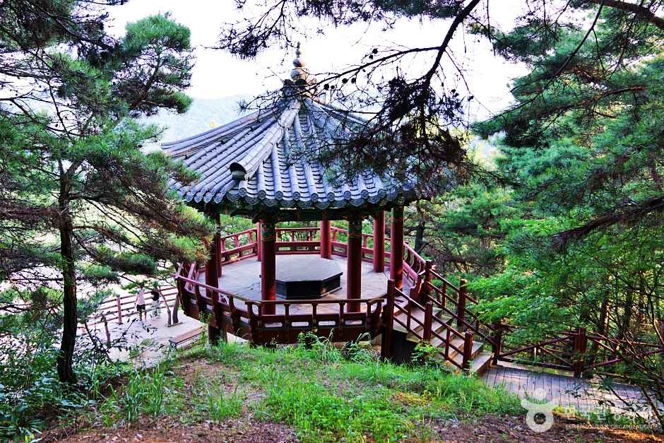 회룡포전망대 이미지 1