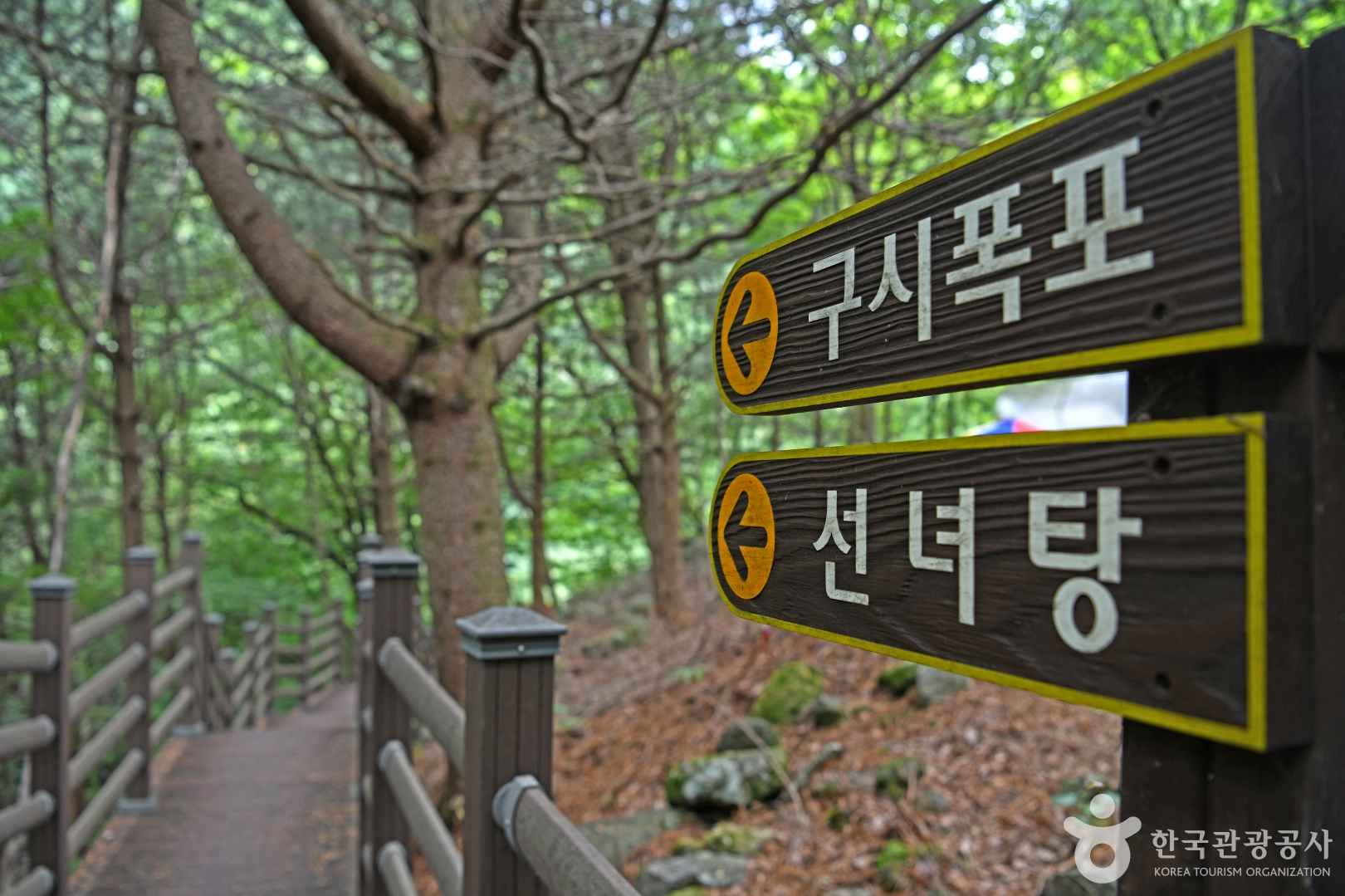 백운산 구시폭포 이미지 7