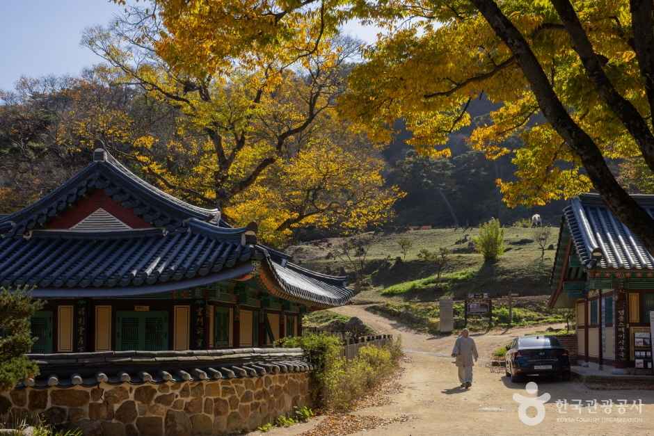 강화 전등사 이미지 2