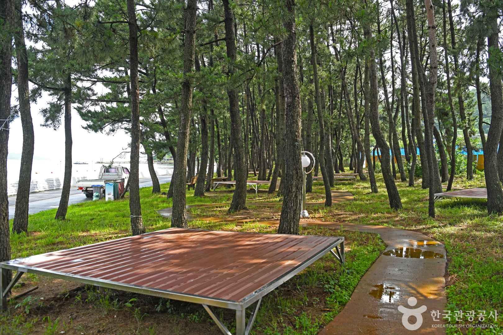 용동해수욕장 이미지 6