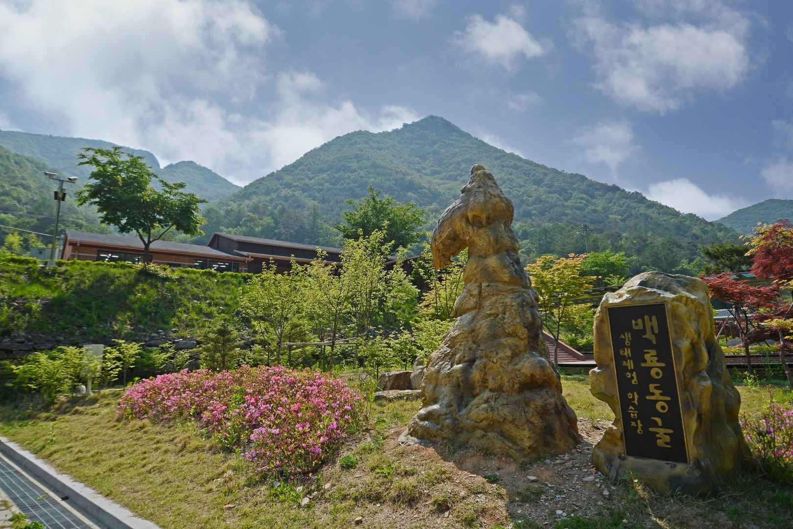 백룡동굴 (강원고생대 국가지질공원) 이미지 8