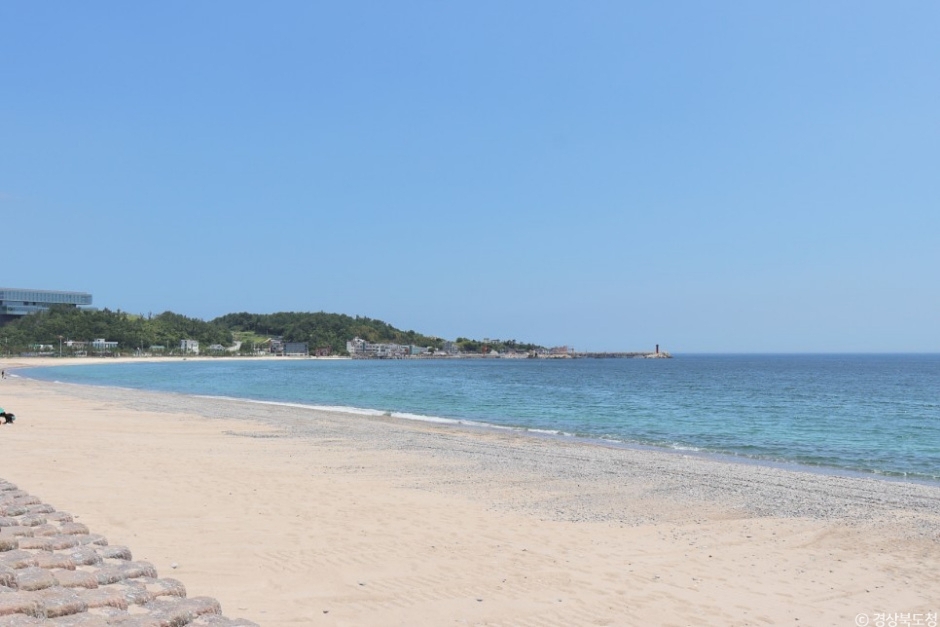 관성솔밭해변 이미지 1