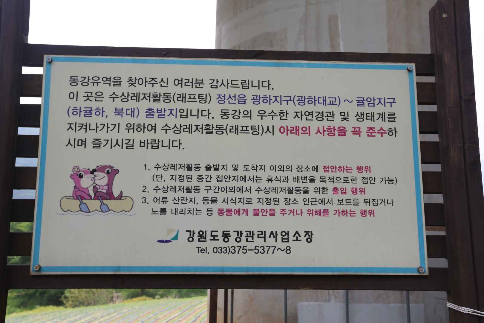 동강 래프팅(정선) 이미지 5