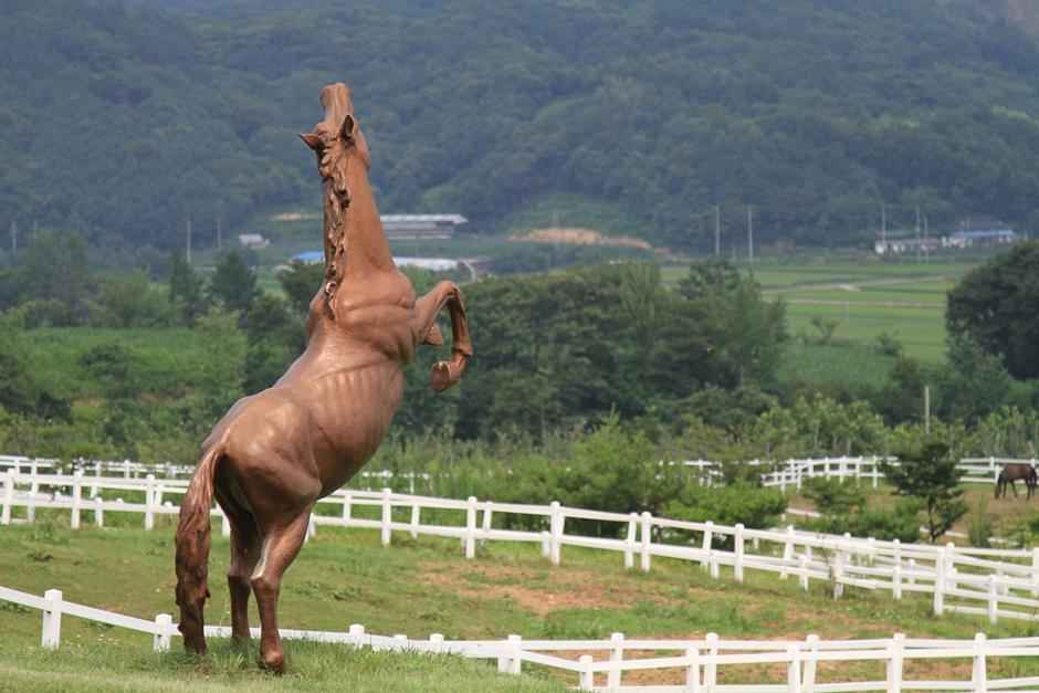 장수승마체험장/장수승마레저파크 이미지 3