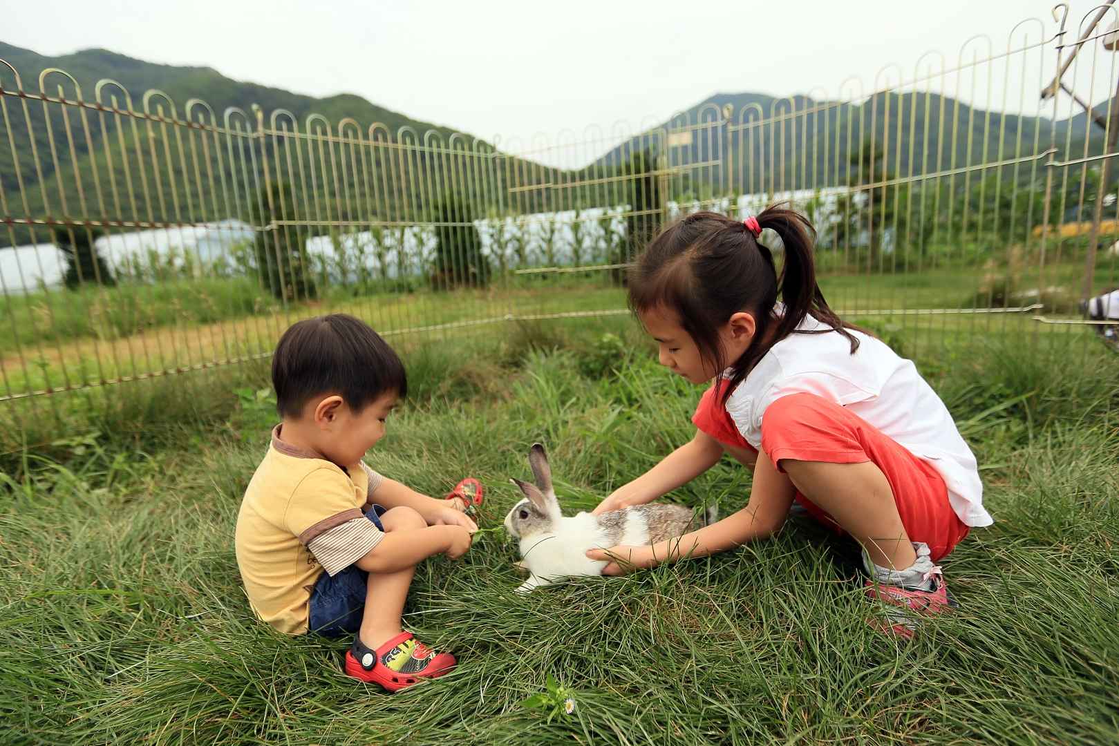 애심목장 이미지 2