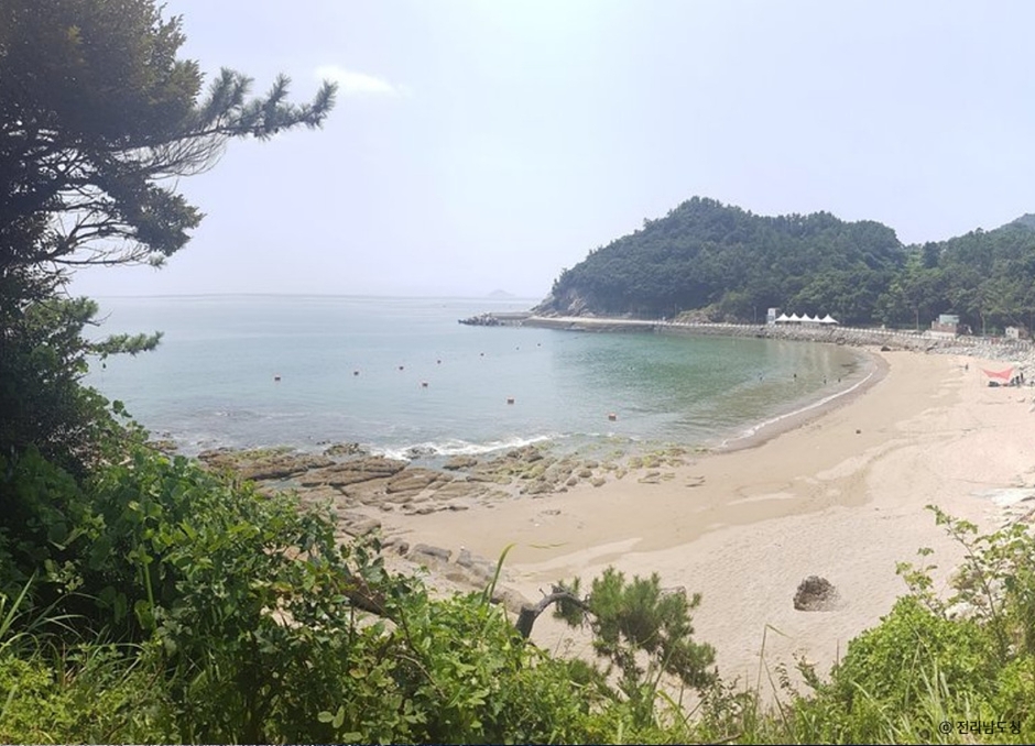 가사동백숲해변 이미지 4
