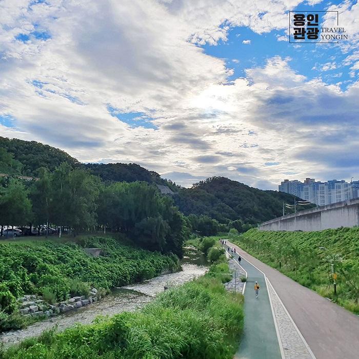 용인 구갈레스피아 이미지 7