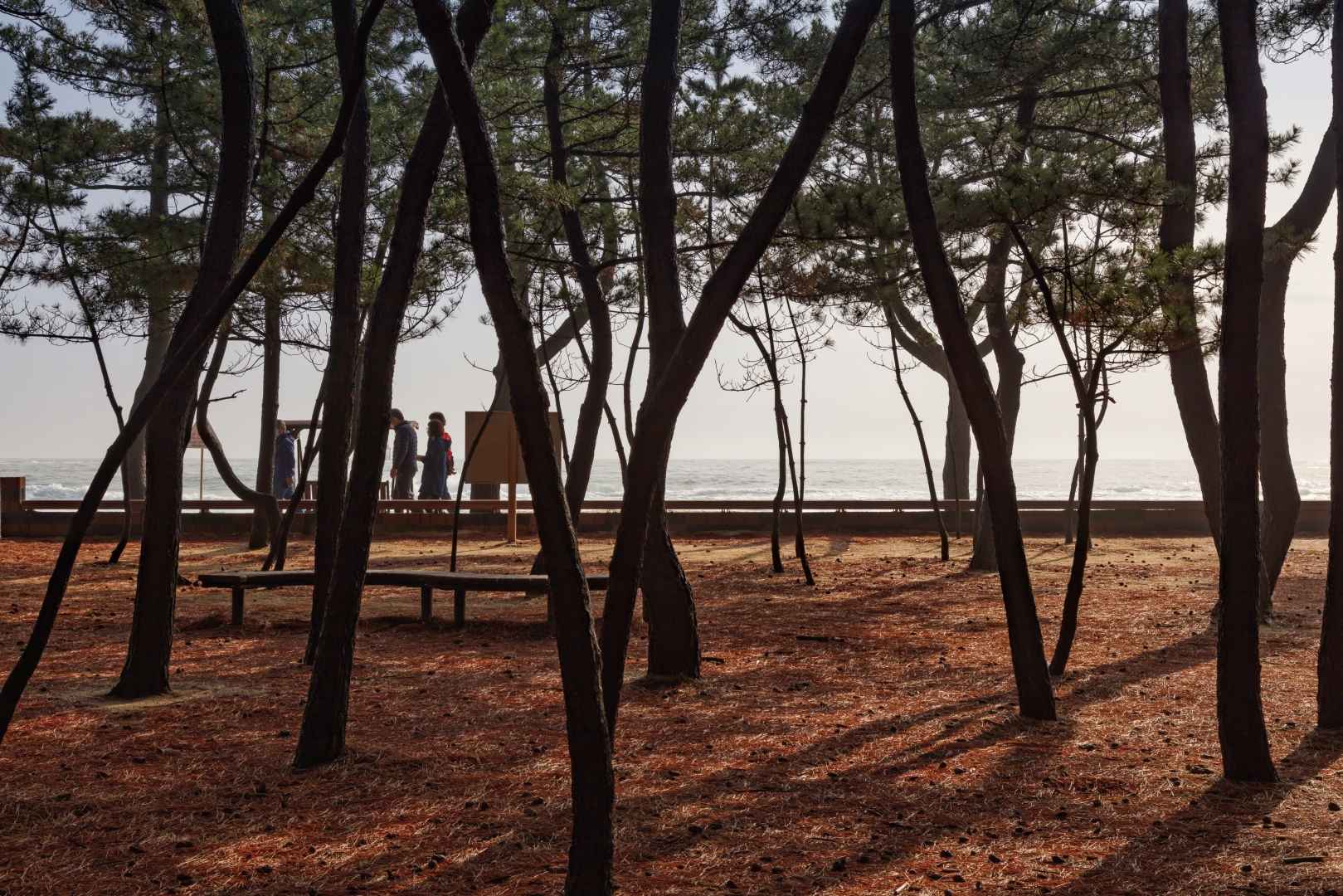 속초해수욕장 이미지 7