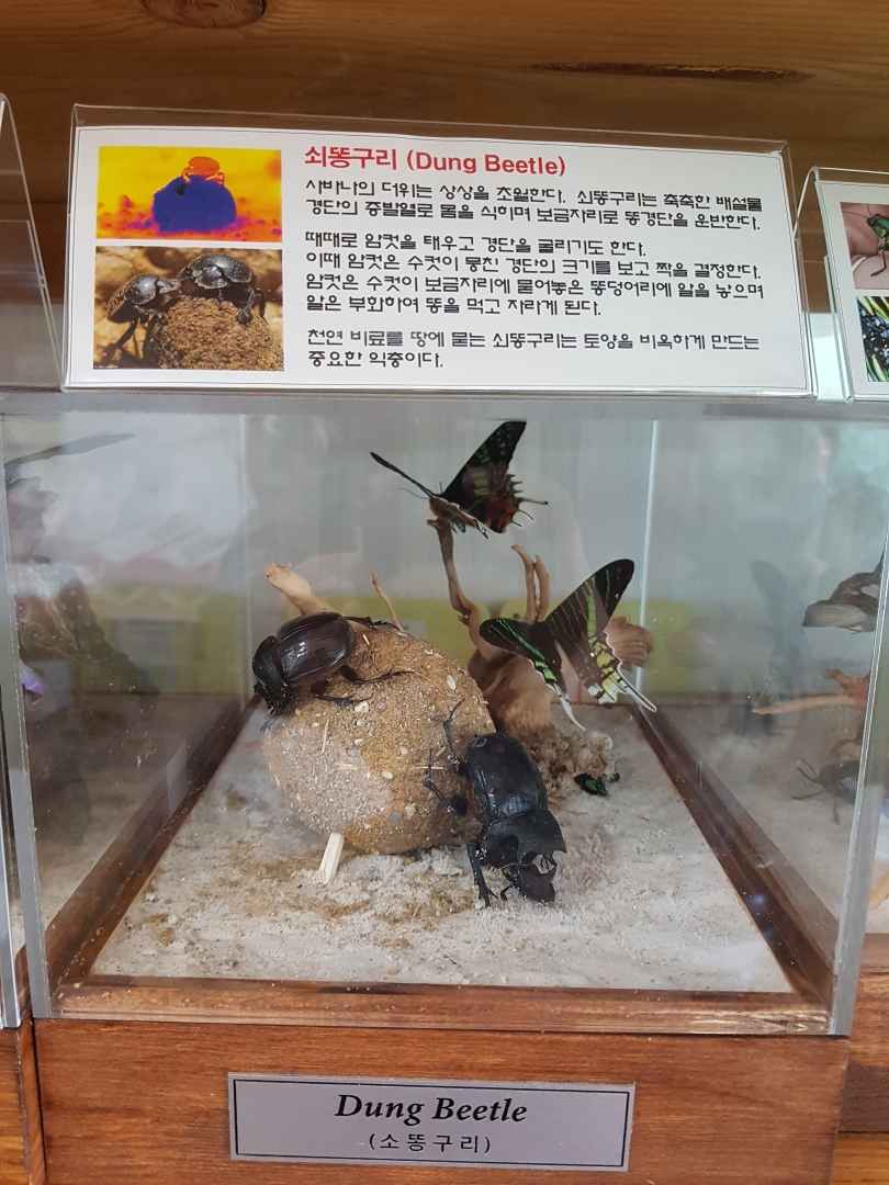 세산곤충체험농장 이미지 2