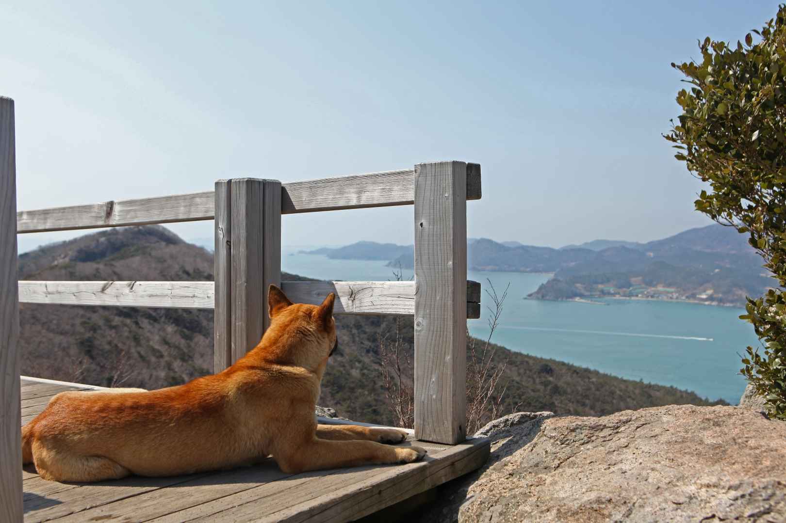 접도 이미지 6