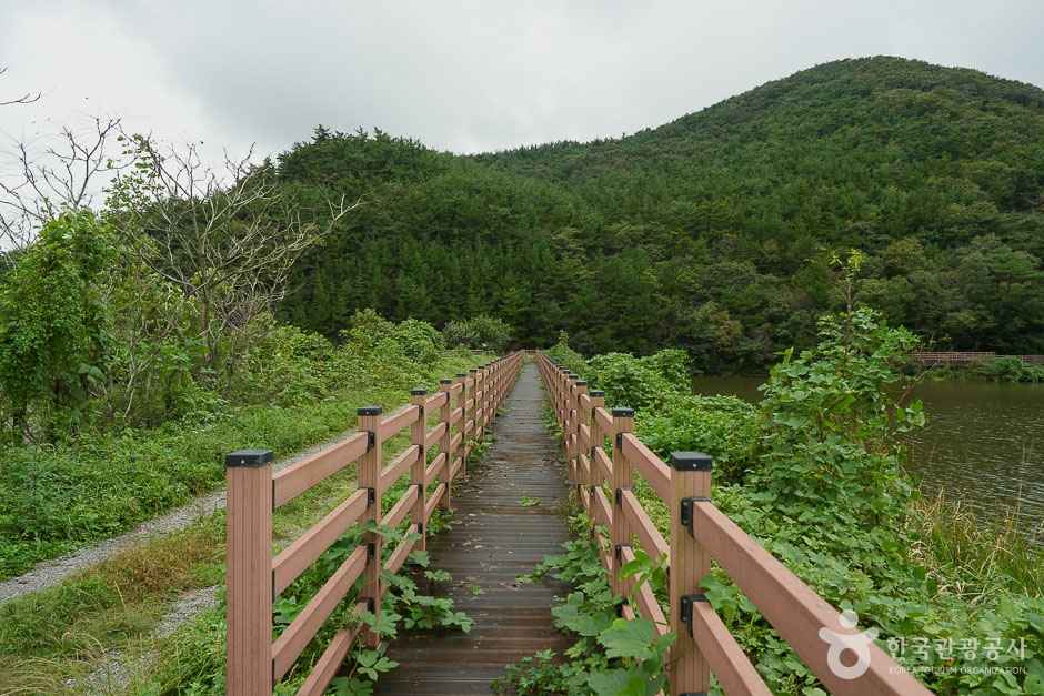 솔향기길 4코스 이미지 3