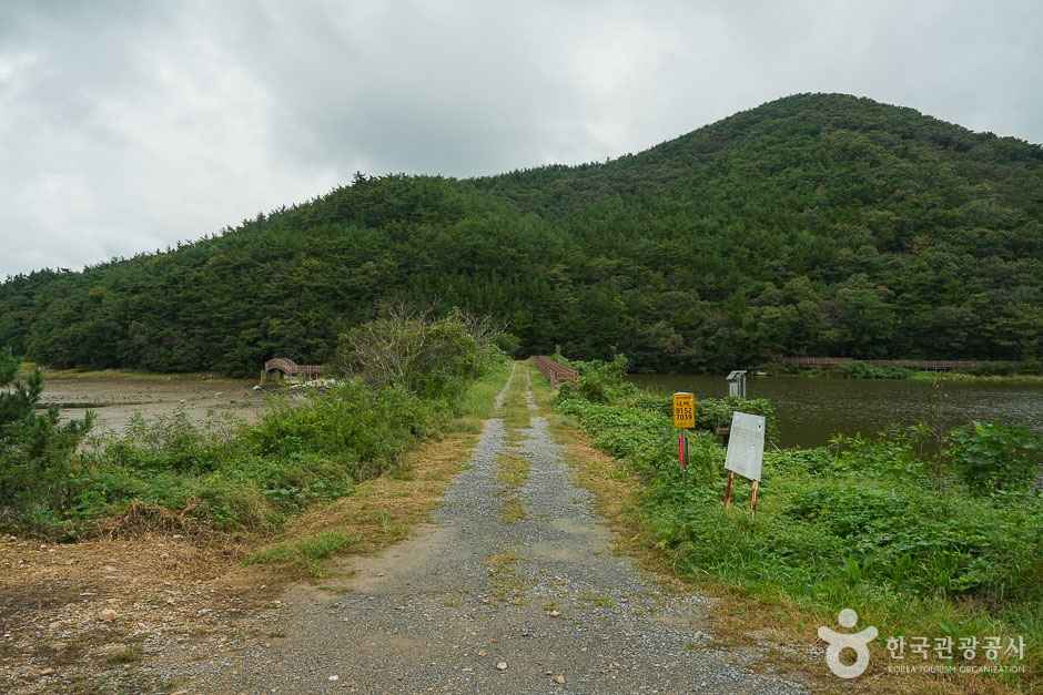 솔향기길 4코스 이미지 6