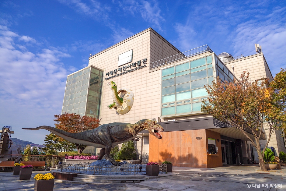 서대문자연사박물관 이미지 1