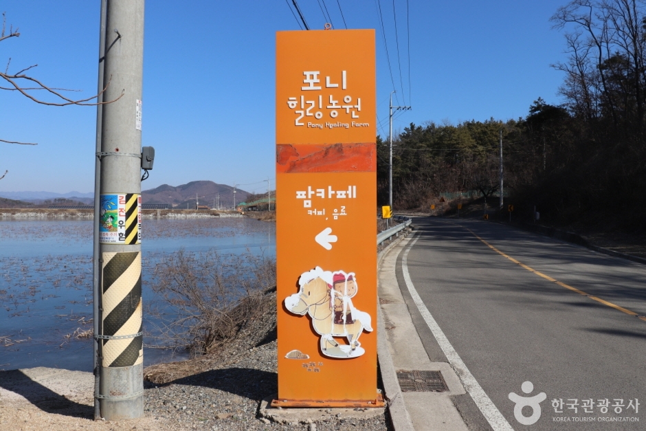포니힐링관광농원 이미지 2