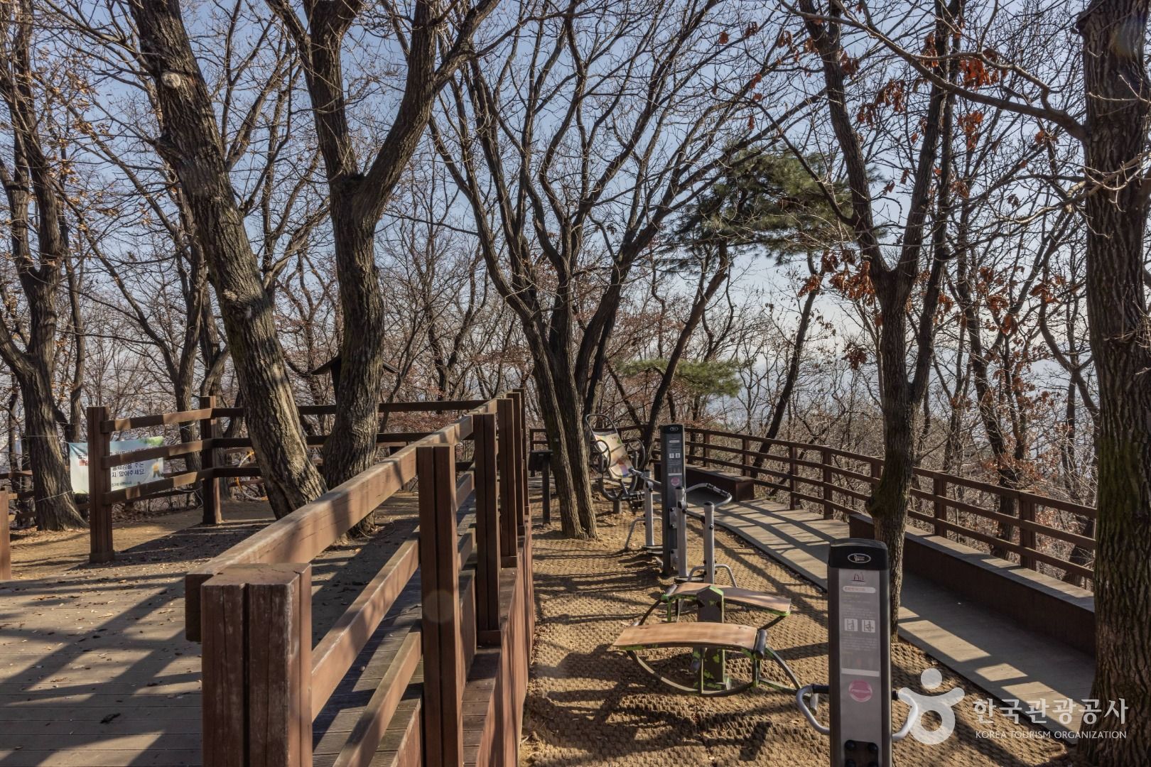 우면산 소망탑 전망대 이미지 5